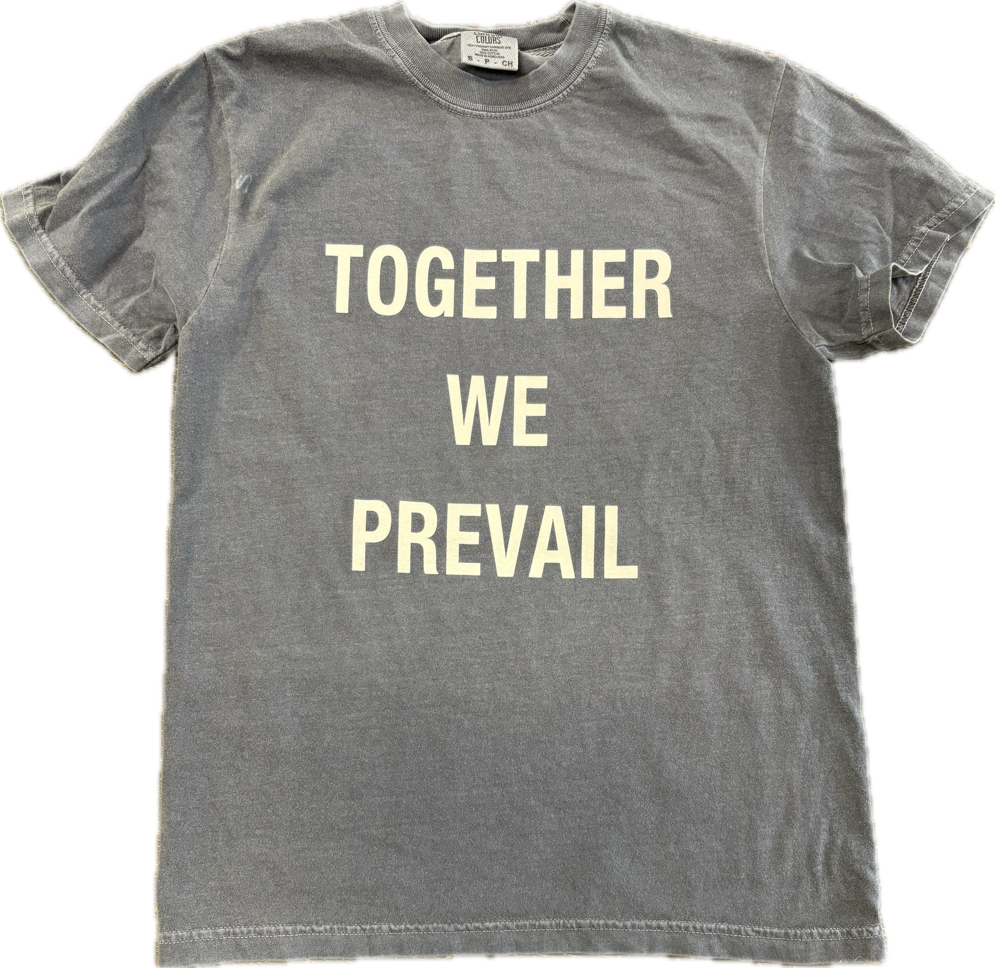 Together We Prevail T-Shirt | Denim