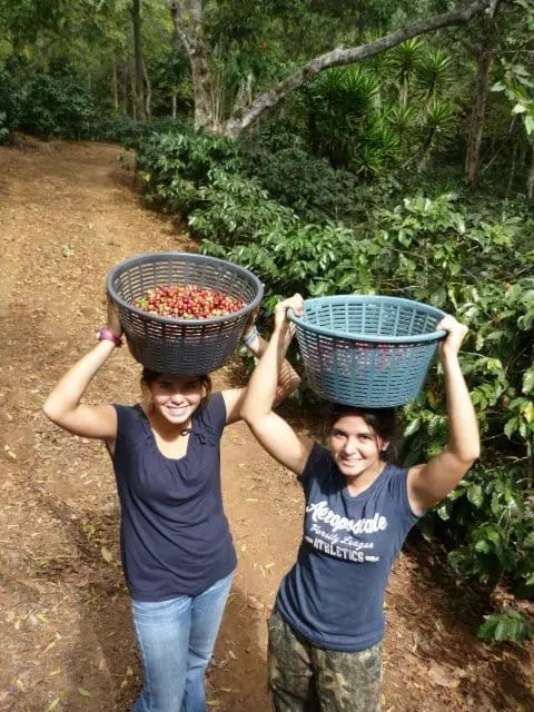 Guatemala | Las Marias